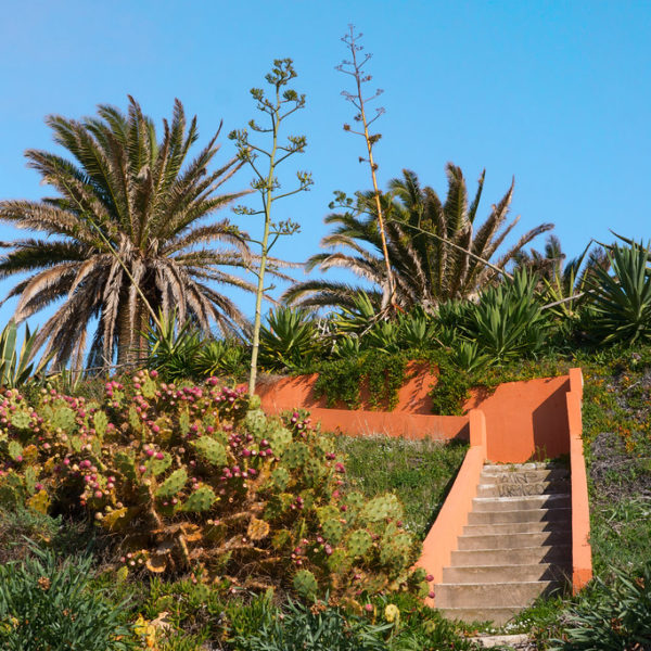 Costa de la Luz, Andalusia, trap