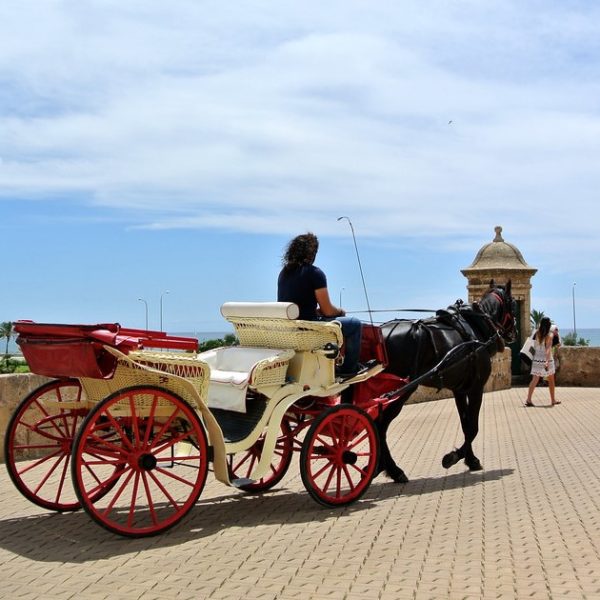 Paard en wagen Mallorca Paard en wagen Mallorca