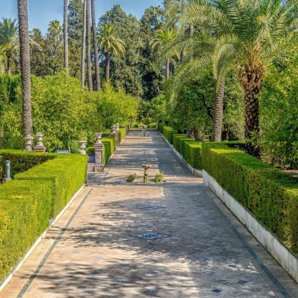 Sevilla Spanje Alcázar Van Sevilla Tuin Voetpad