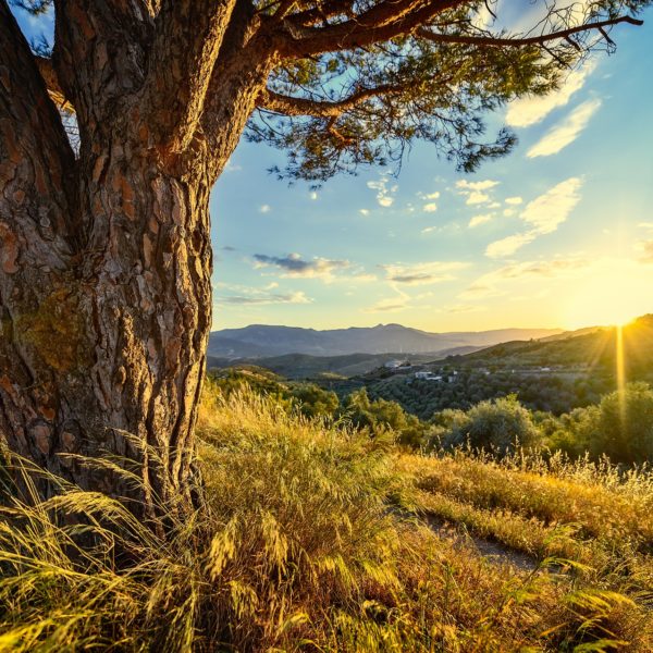 Zonsondergang Landschap Costa de Almeria Zonsondergang Landschap Costa de Almeria
