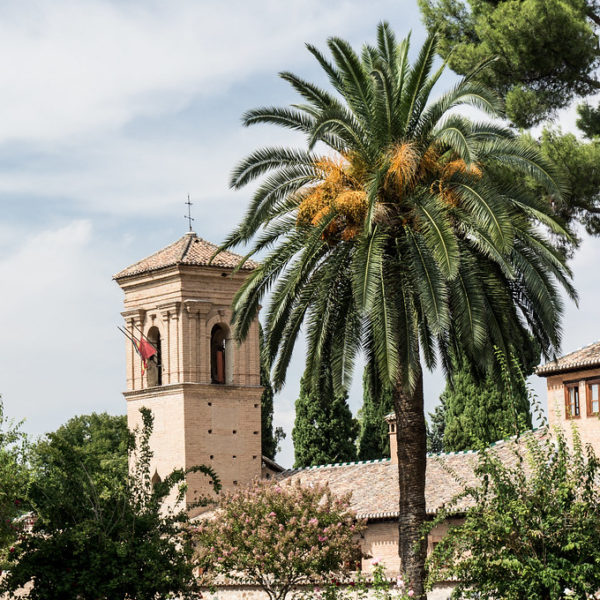Zuid-Spanje- toren, palmboom Zuid-Spanje- toren, palmboom