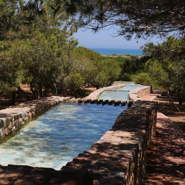 la-torre-mata-3541947_1920